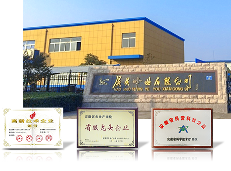 匠心堅(jiān)守十余年，榮譽(yù)滿載行業(yè)認(rèn)證